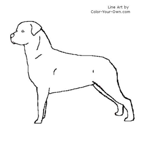 Rottweiler coloring page painting patterns face outline dog pattern