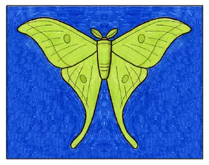 Easy how to draw a moth tutorial and moth coloring page