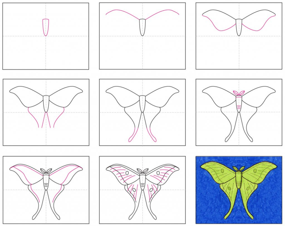Easy how to draw a moth tutorial and moth coloring page butterfly drawing moth drawing moth art