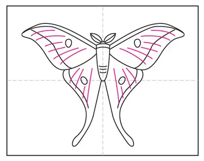 Easy how to draw a moth tutorial and moth coloring page