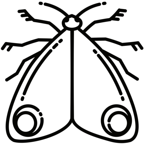 Moth coloring page free printable coloring pages