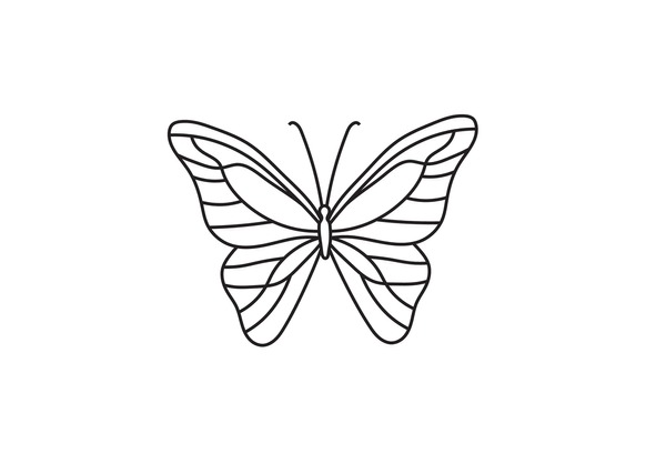 Butterfly drawing easy royalty