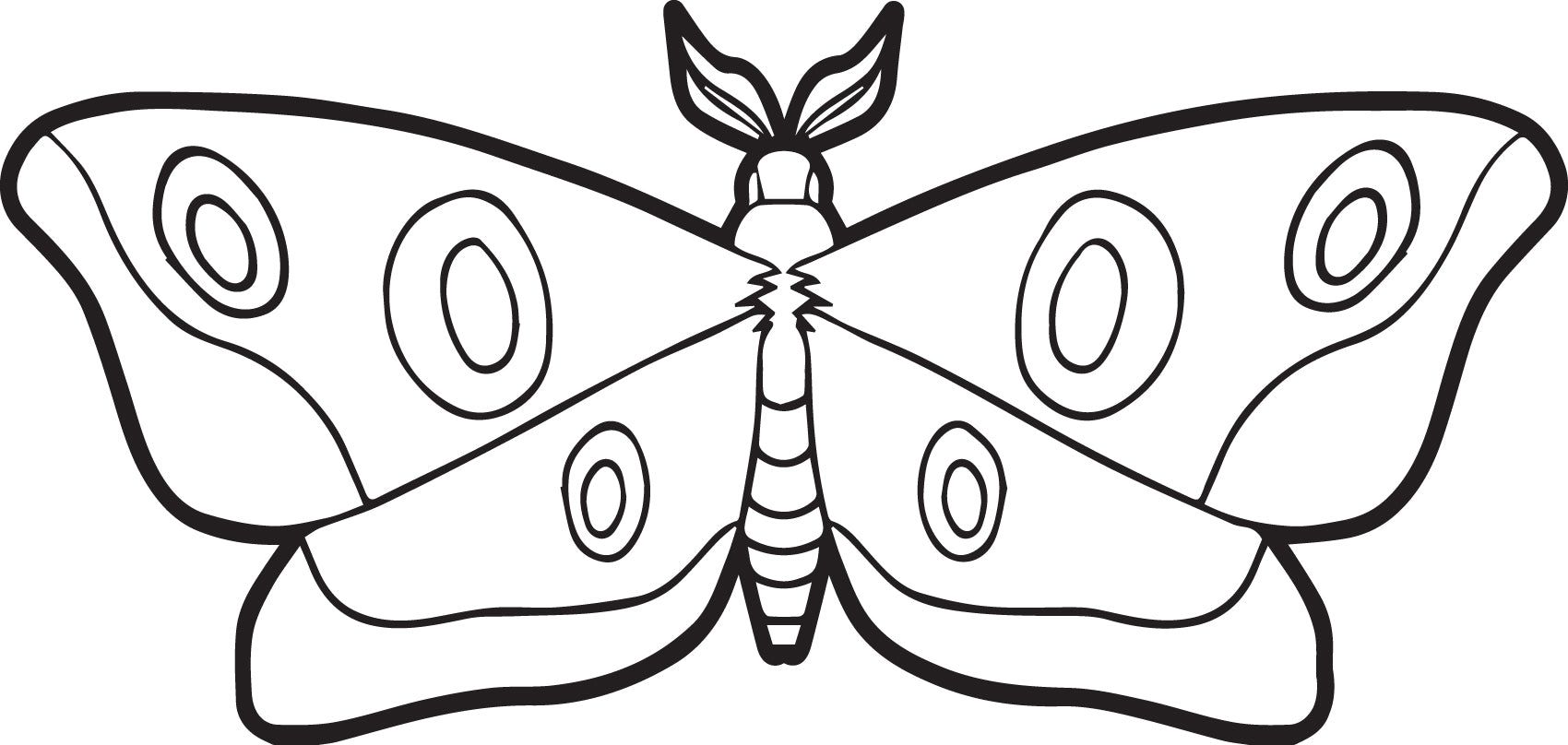 Moth coloring page coloring pages heart coloring pages applique quilting