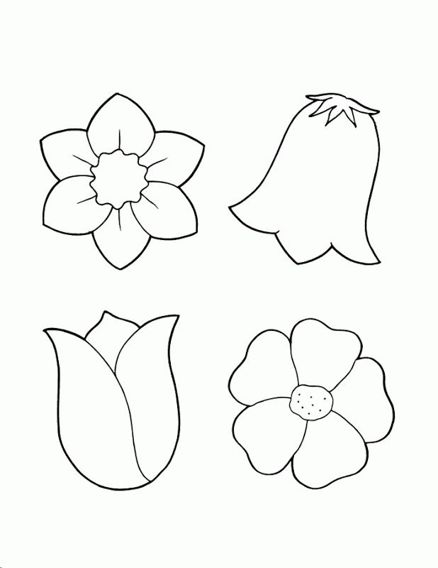 Download or print this amazing coloring page coloring pages for spring flowers best coloring pagâ spring coloring pages flower coloring pages flower template