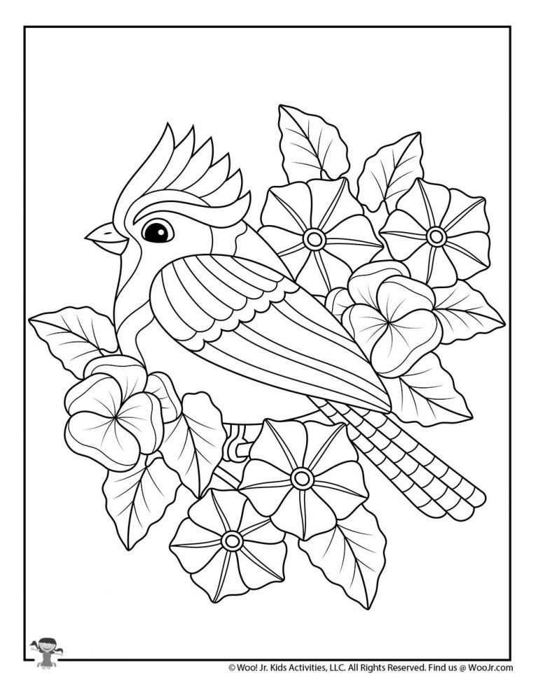 Spring blue jay easy adult coloring page woo jr kids activities childrens publishing free adult coloring pages coloring pages bird coloring pages