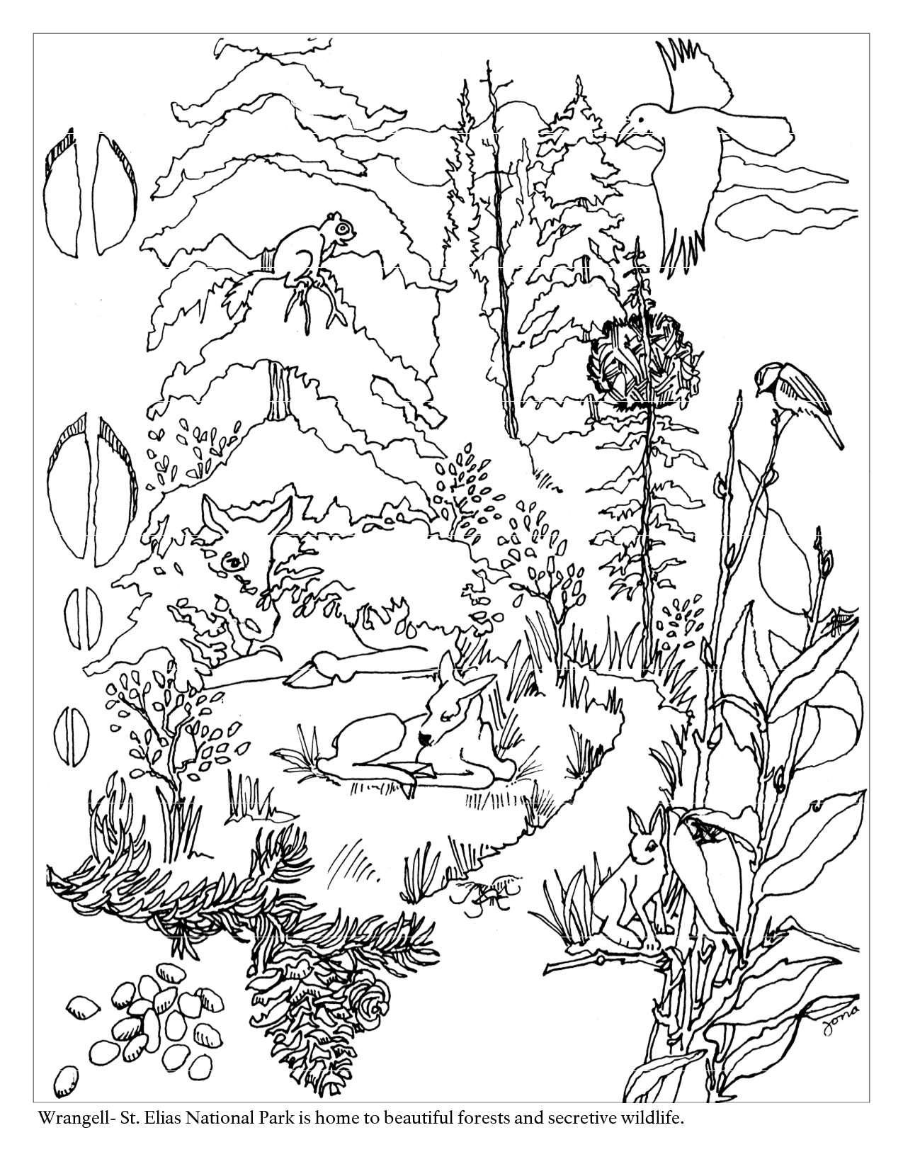 Taiga biome colouring pages forest coloring pages animal coloring pages coloring pages