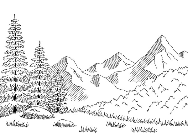 Black white forest drawing royalty