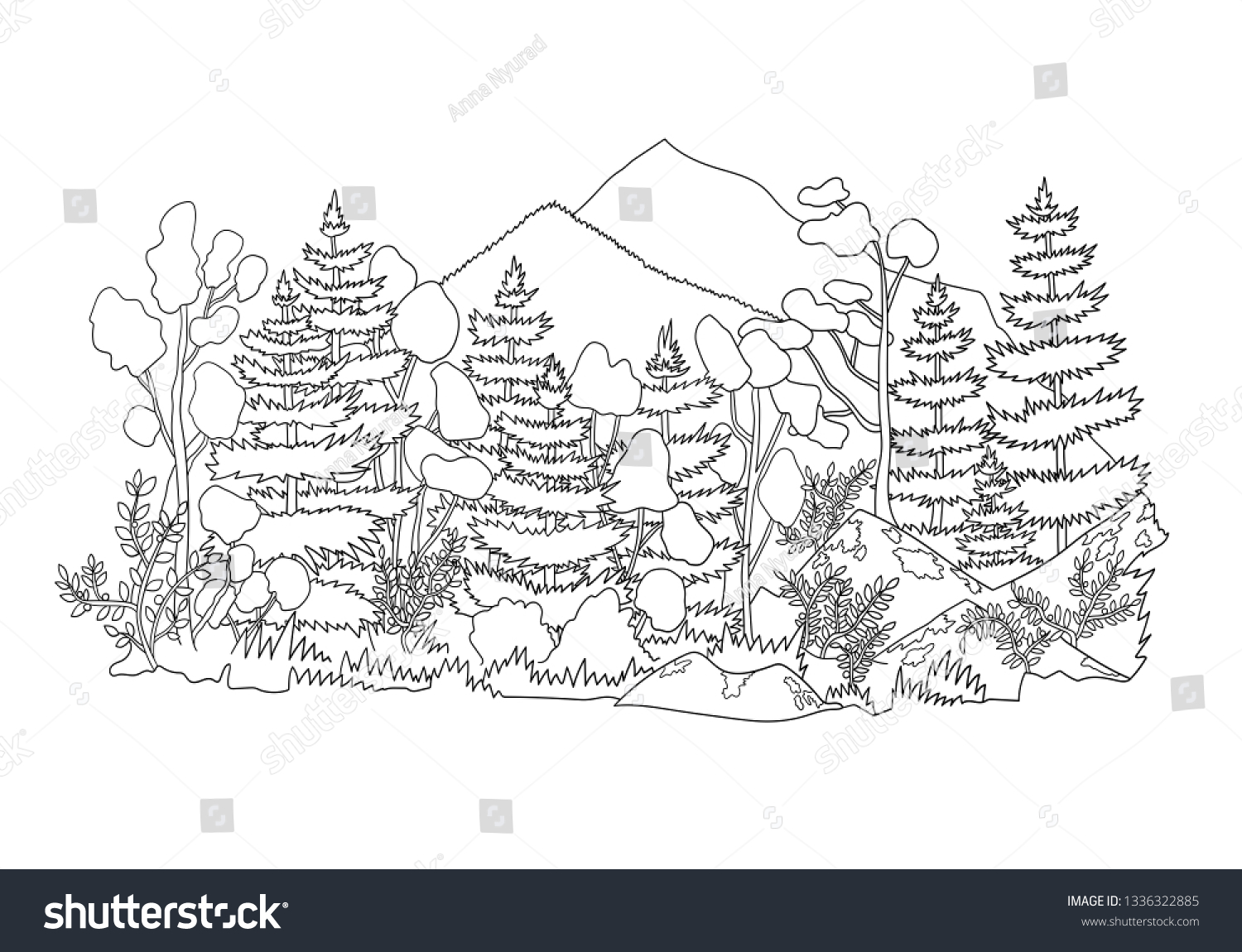 Graphic illustration boreal forest hand drawn stock vector royalty free