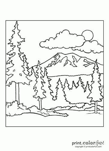 Forest scene free printable coloring pages forest coloring pages free coloring pages
