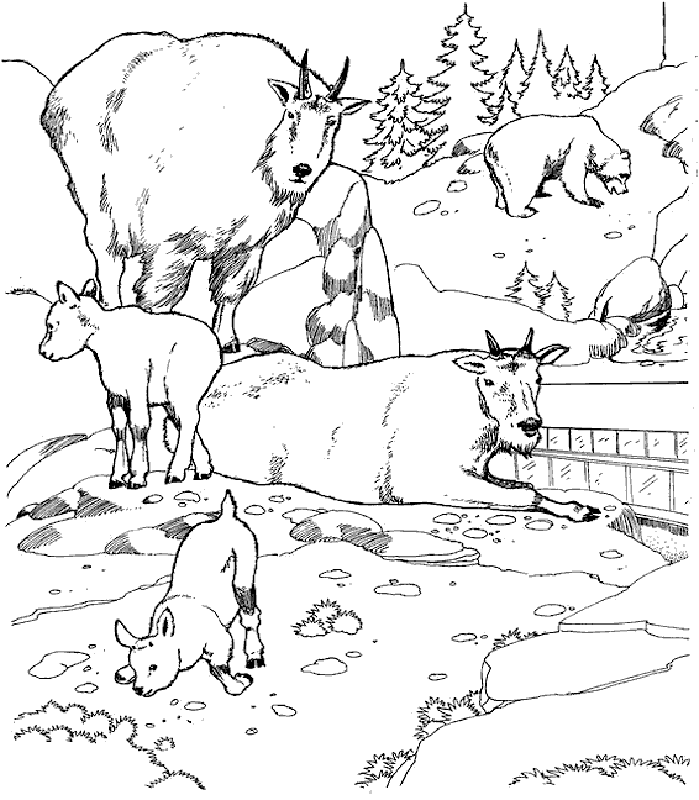 Tundra coloring pages