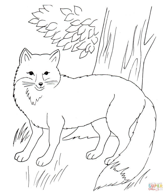 Red fox in the forest coloring page free printable coloring pages
