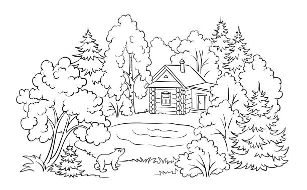 Taiga stock illustrations royalty