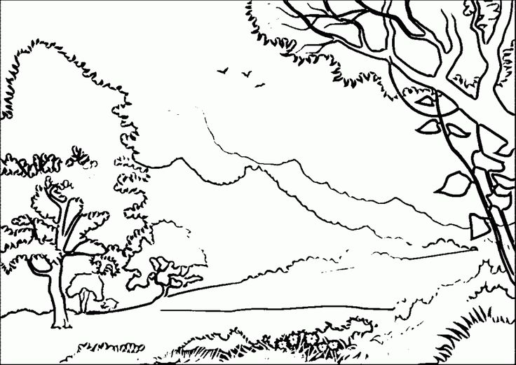 Forest coloring pages