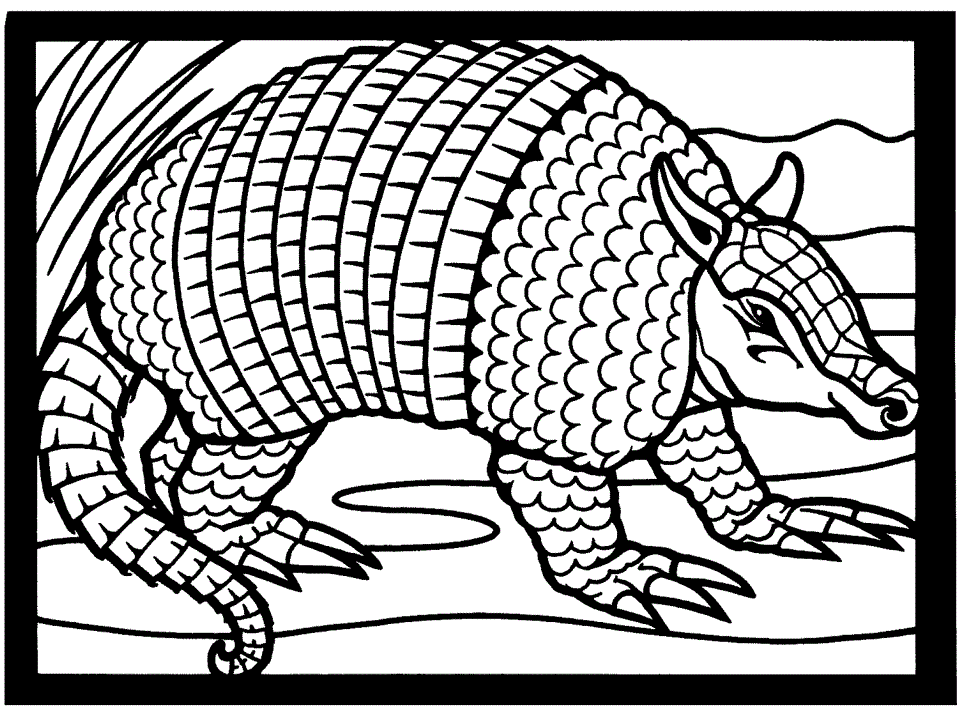 Armadillo coloring pages
