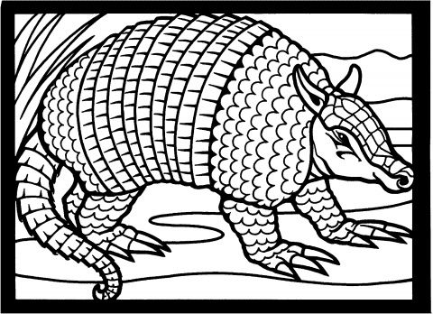 Armadillos coloring pages supercoloring coloriage pages ã colorier des animaux coloriage gratuit
