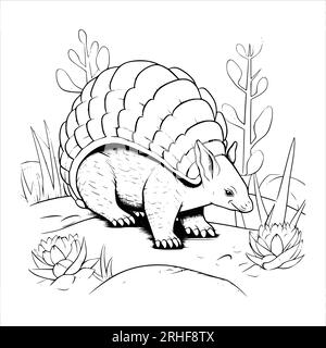 Armadillo coloring page for kids stock vector image art