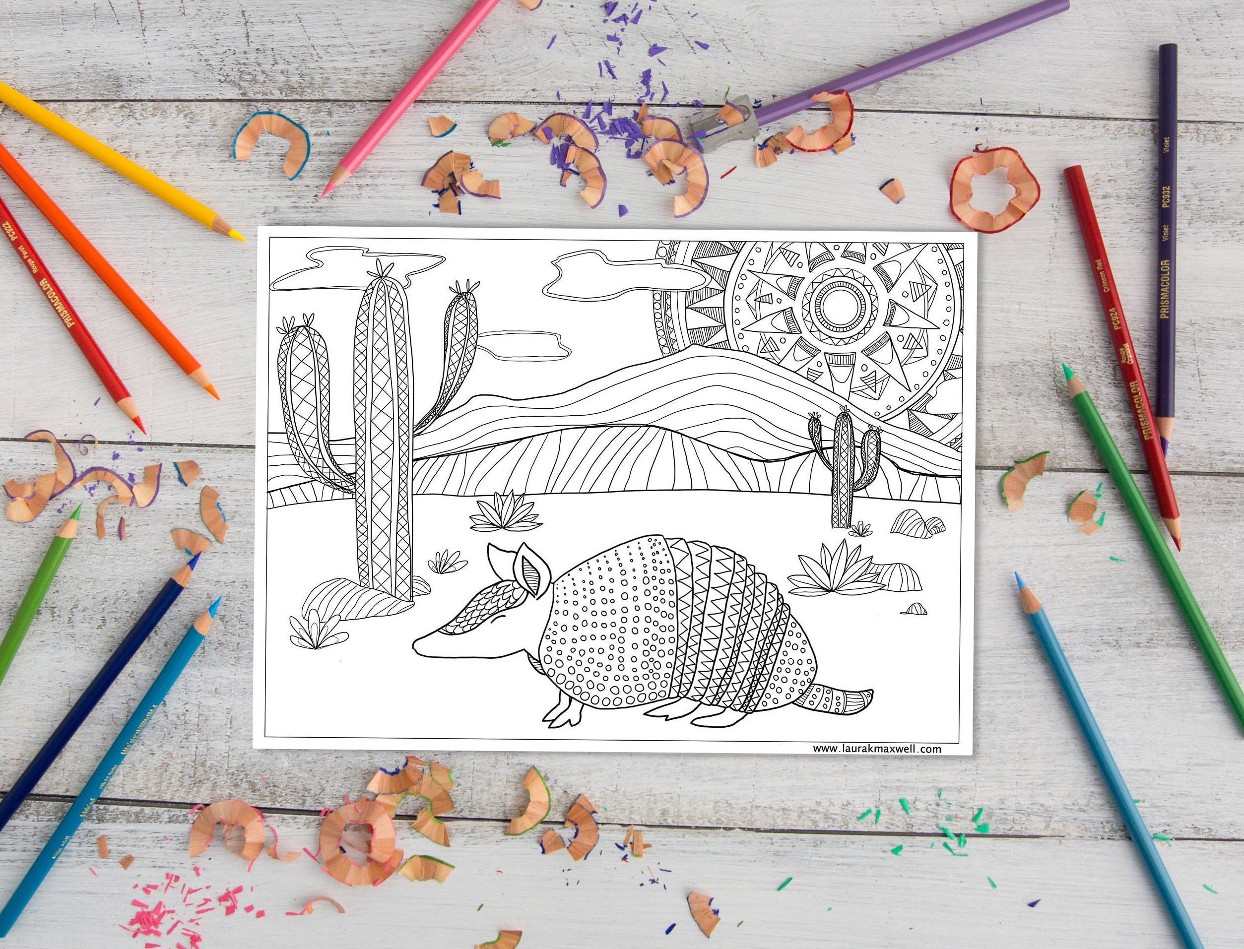 Armadillo desert coloring sheet for adults and kids armadillo coloring page desert art instant download printable activity instant download