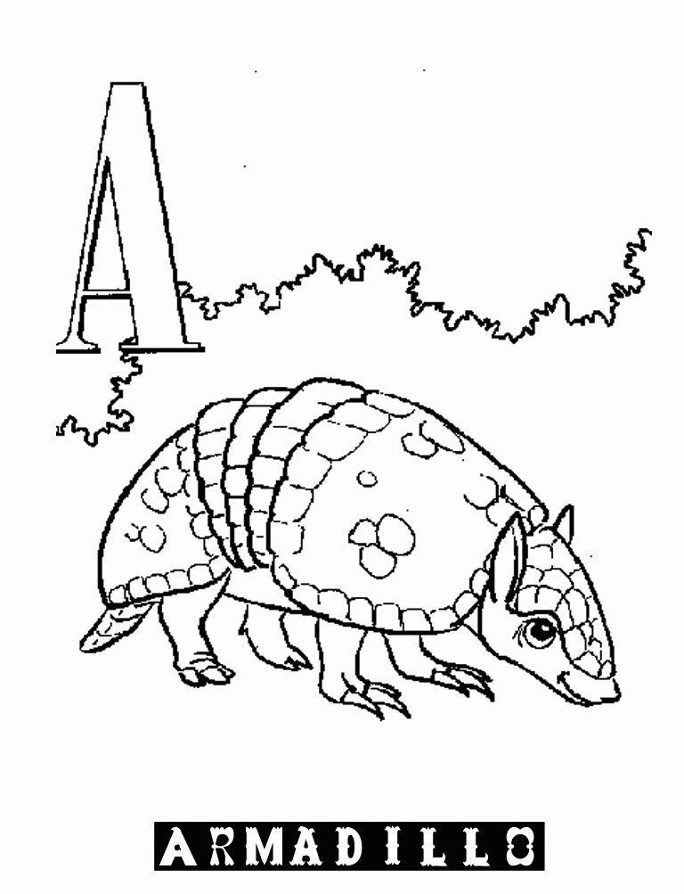 Armadillo coloring pages