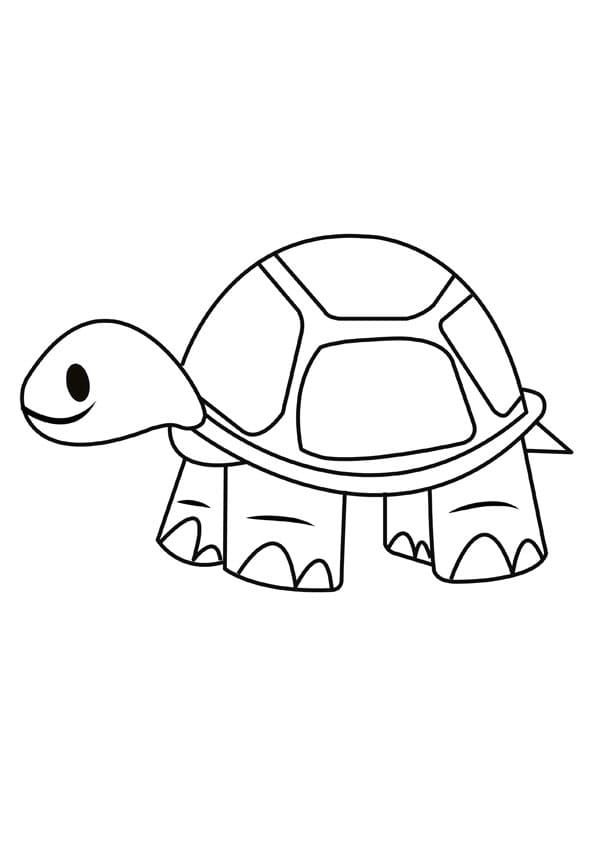 Simple turtle coloring page turtle coloring pages zebra coloring pages coloring pages