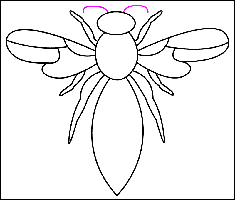 How to draw a wasp