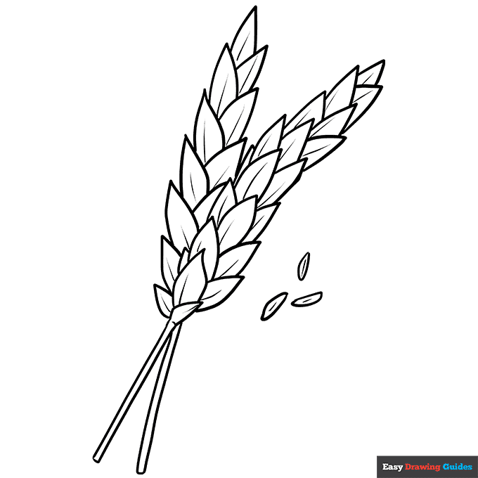 Wheat coloring page easy drawing guides