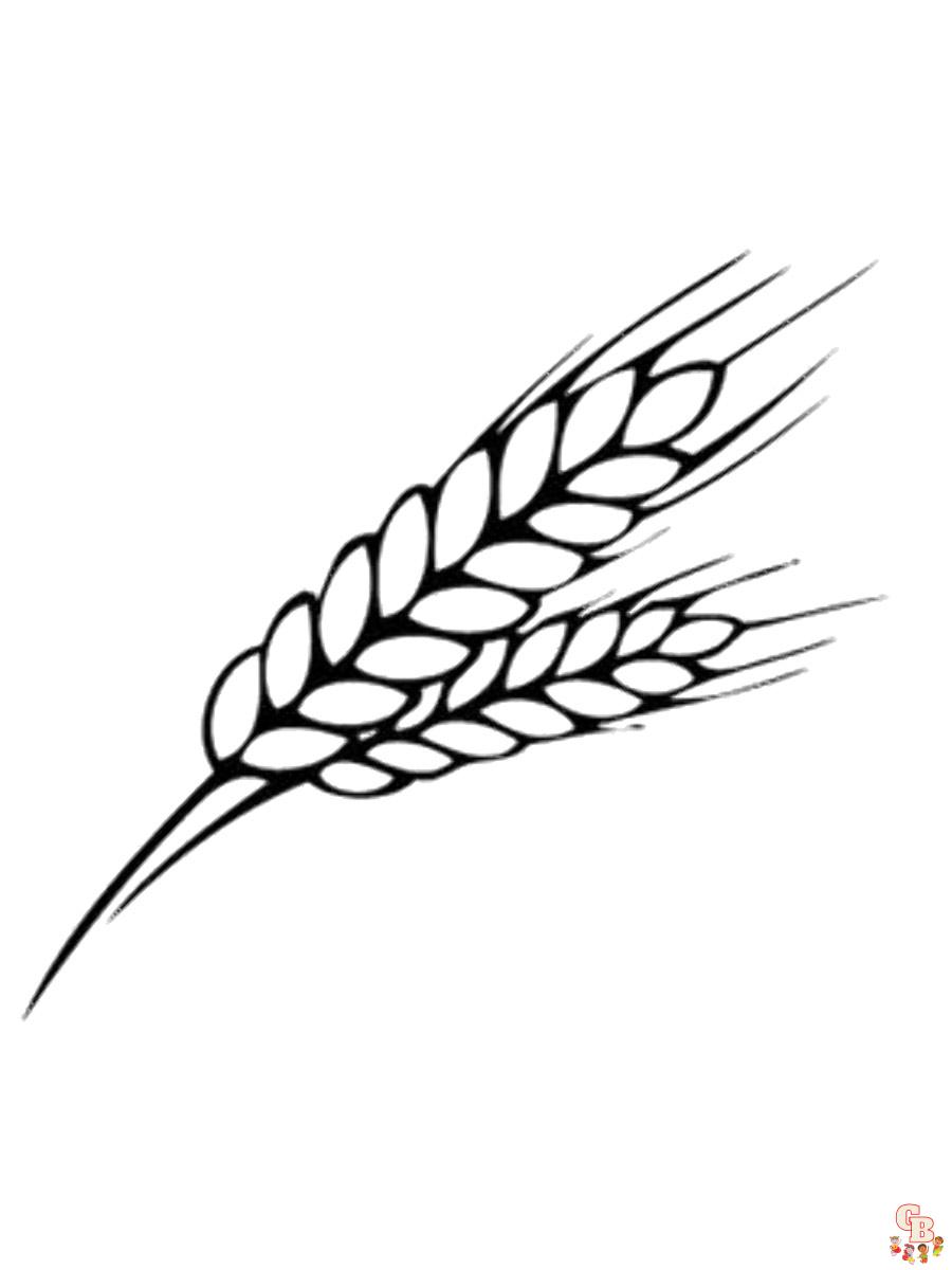 Wheat coloring pages printable and free for kids