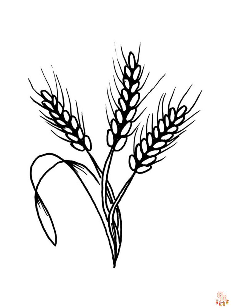 Wheat coloring pages printable and free for kids