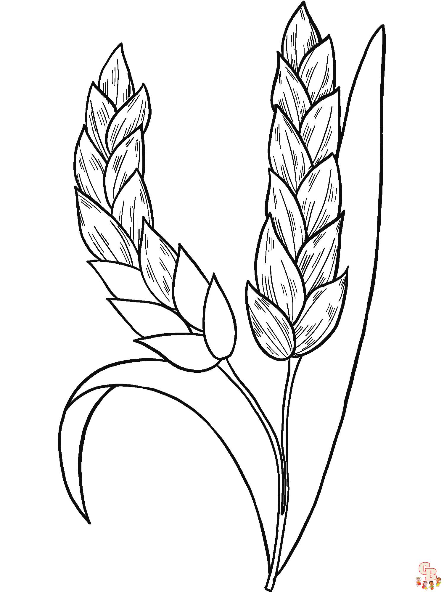 Wheat coloring pages printable and free for kids