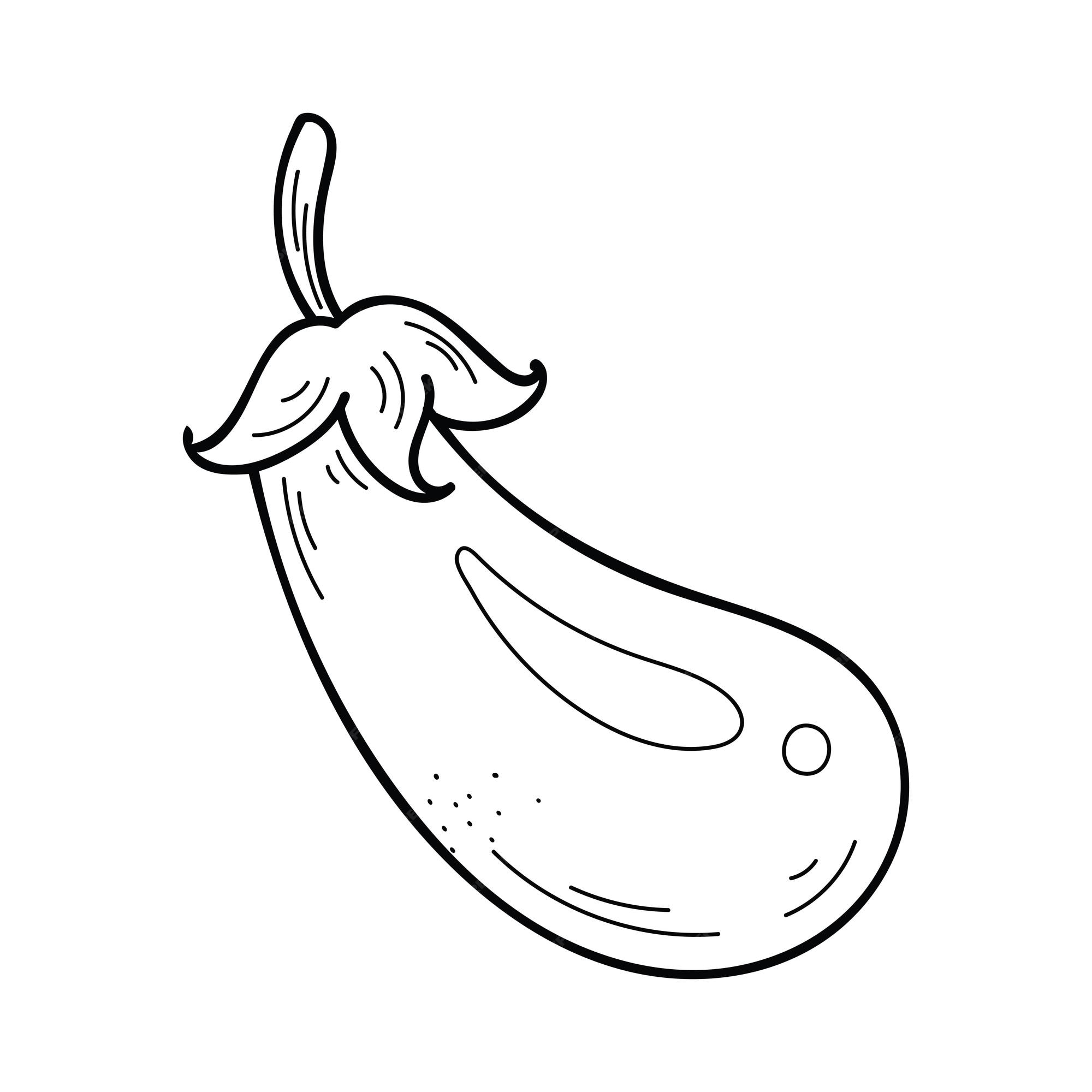 Premium vector hand drawn eggplant icon vector vegetable element in doodle style for brochures coloring book restaurant menu and market
