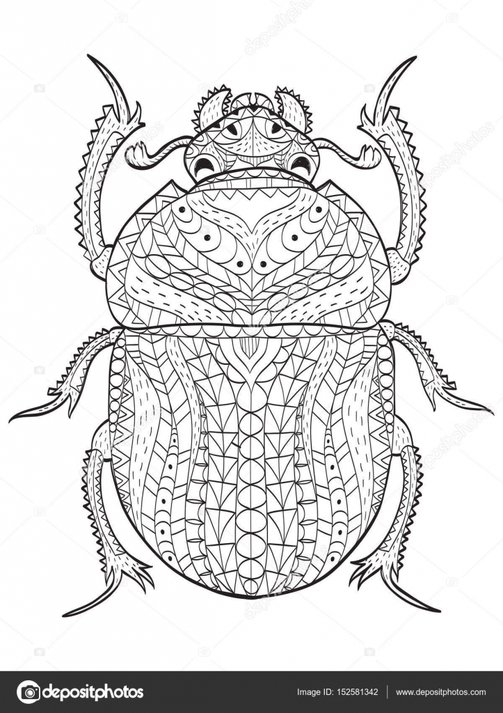 Egyptian scarab beetle coloring vector for adults stock vector by toricheksgmail