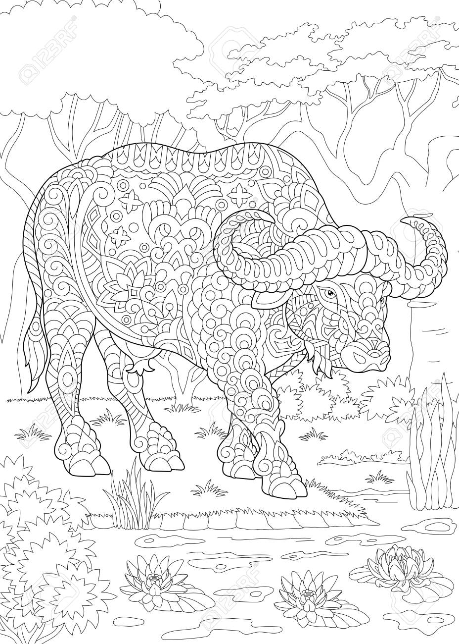 Coloring page coloring book colouring picture with bull buffalo bison antistress freehand sketch drawing with doodle royalty free svg cliparts vectors and stock illustration image