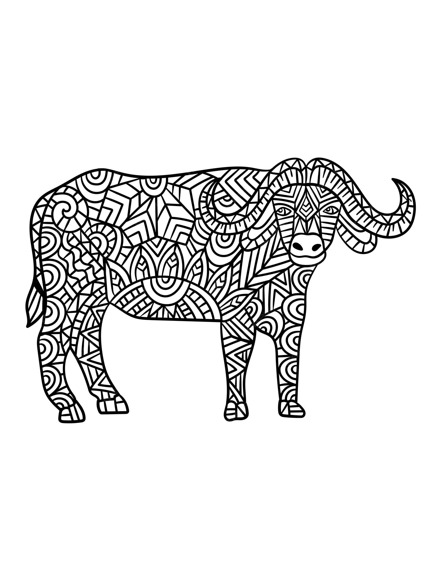 Premium vector cape buffalo mandala coloring pages for adults