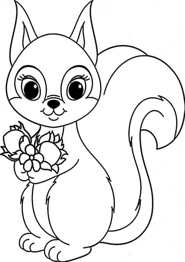 Eichhãrnchen