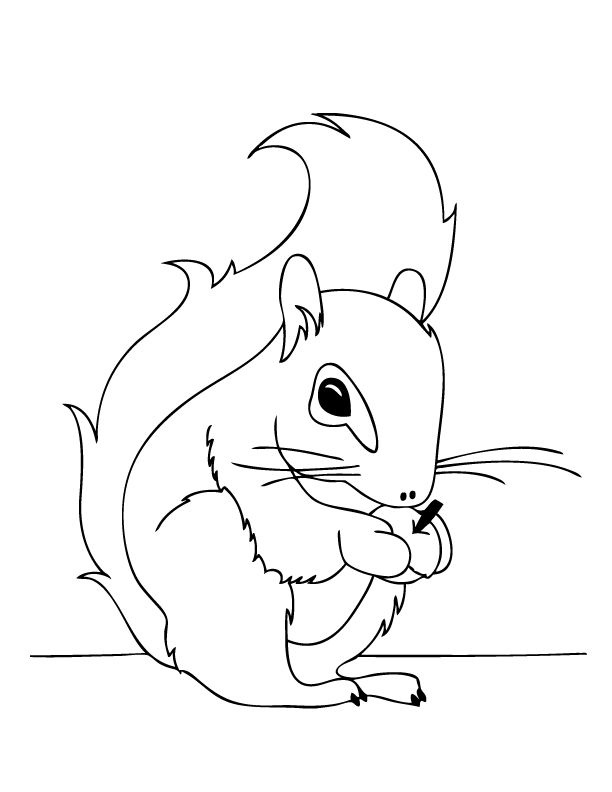 Thanksgiving and fall coloring pages