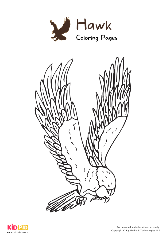 Hawk coloring pag for kids â free printabl coloring pag for kids printabl free kids free printabl kids
