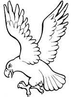 Eagles coloring pages and printable activities
