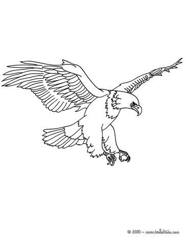 Related image aguila real dibujo aguila dibujo aguila para dibujar