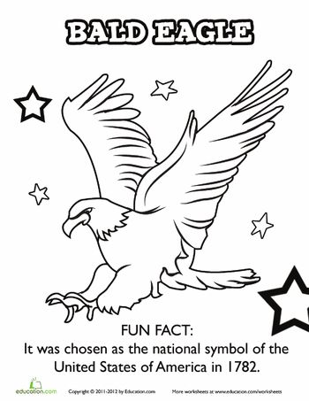 American bald eagle worksheet education science symbols american bald eagle american symbols