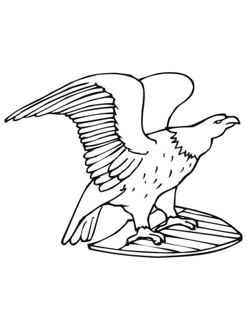Dibujo de ãguila calva de estados unidos para colorear dibujos para colorear imprimir gratis