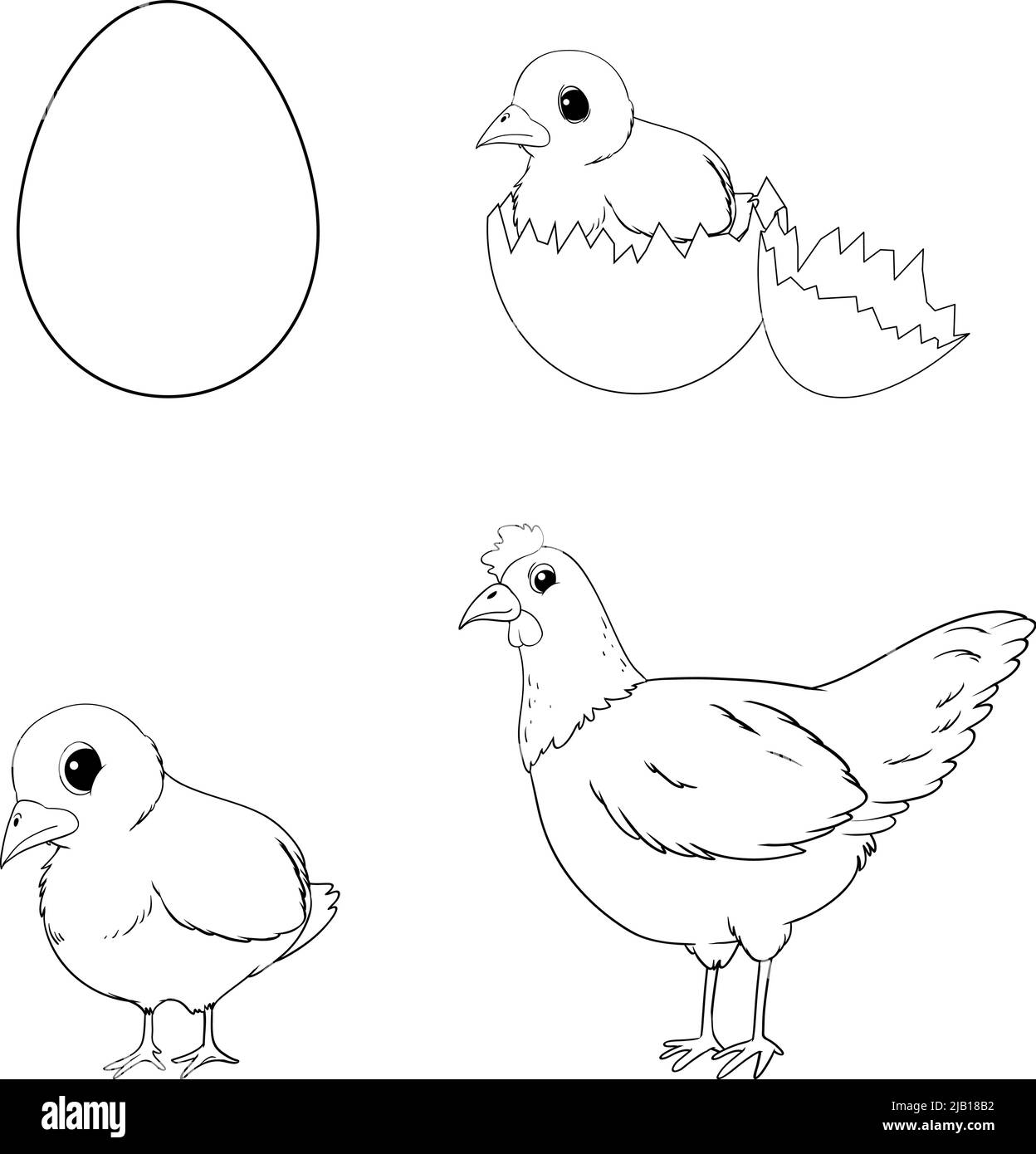 Chicken egg hatching black and white stock photos images