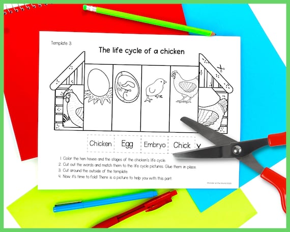 Ciclo de vida de un pollo manualidad infantil plegable a y x pulgadas descarga digital ciencia cortar y pegar