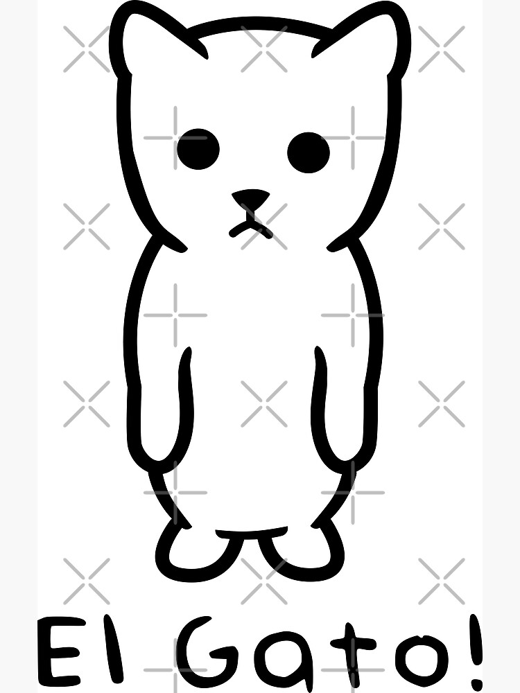 El gato