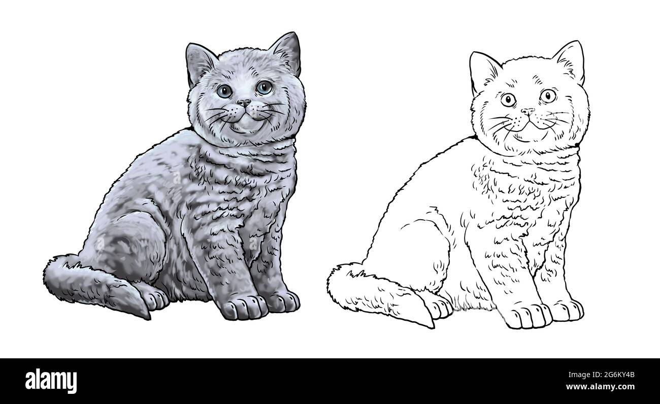 Cute kittens for coloring template for a coloring book with little cats britain cat british shorthair stock photo