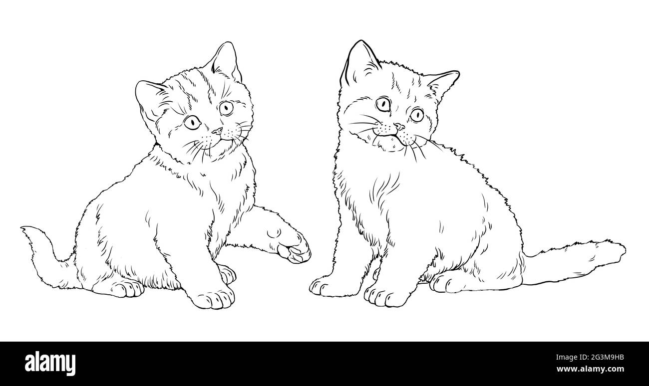 Cute kittens for coloring template for a coloring book with little cats stock photo