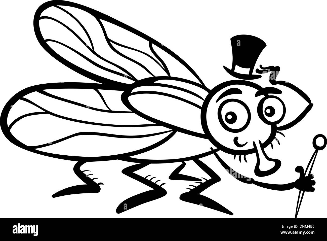 Insecto bastãn imãgen de stock en blanco y negro