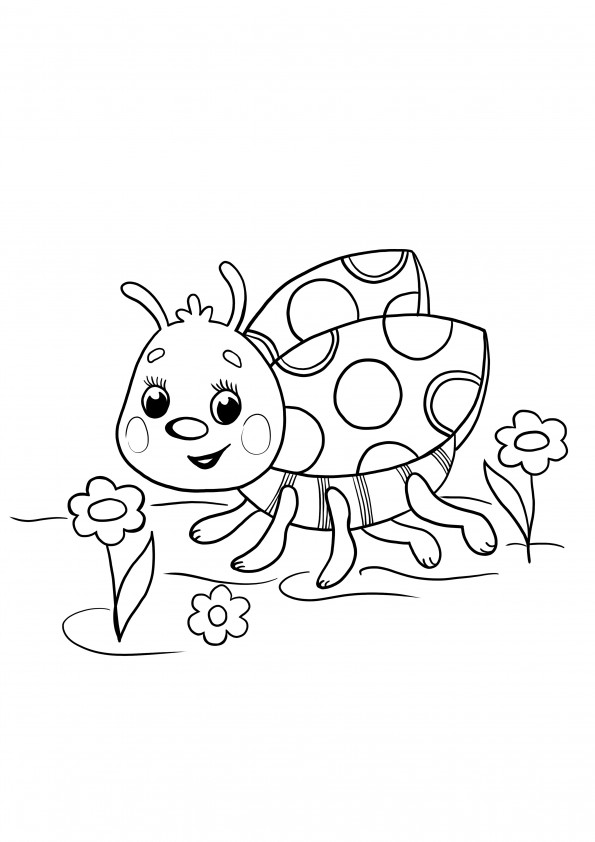 Dibujos con insectos para colorear explora el fascinante mundo de los insectos