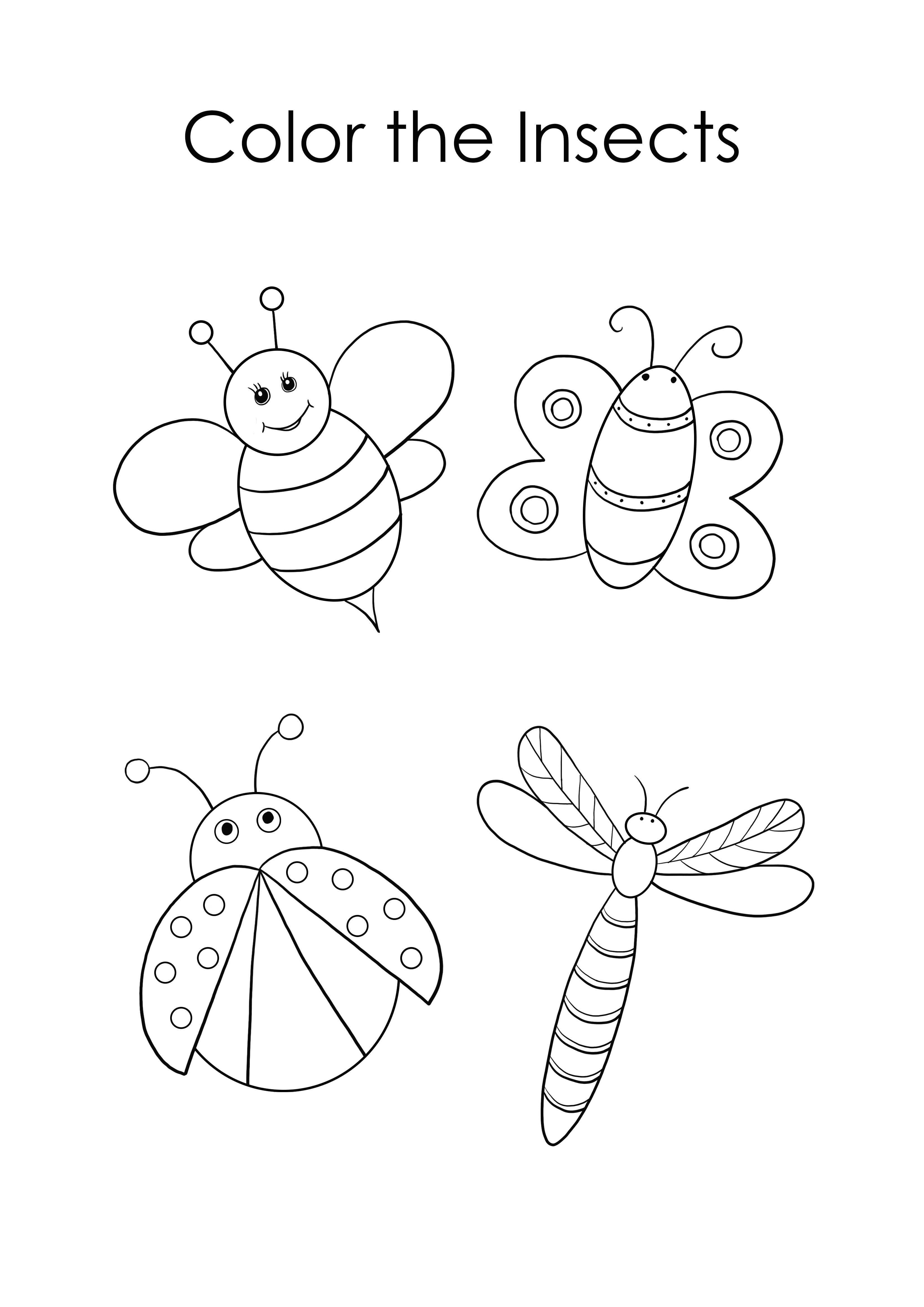 Lindo bebã insectos pãgina para colorear gratis