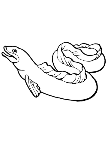 Eel coloring page free printable coloring pages