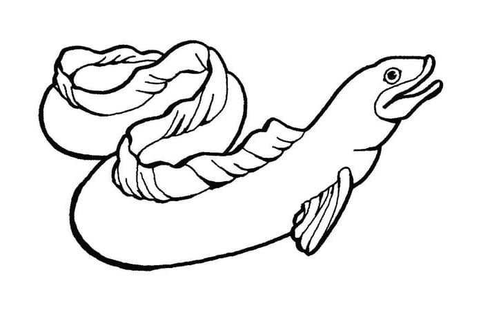 Sea creature s