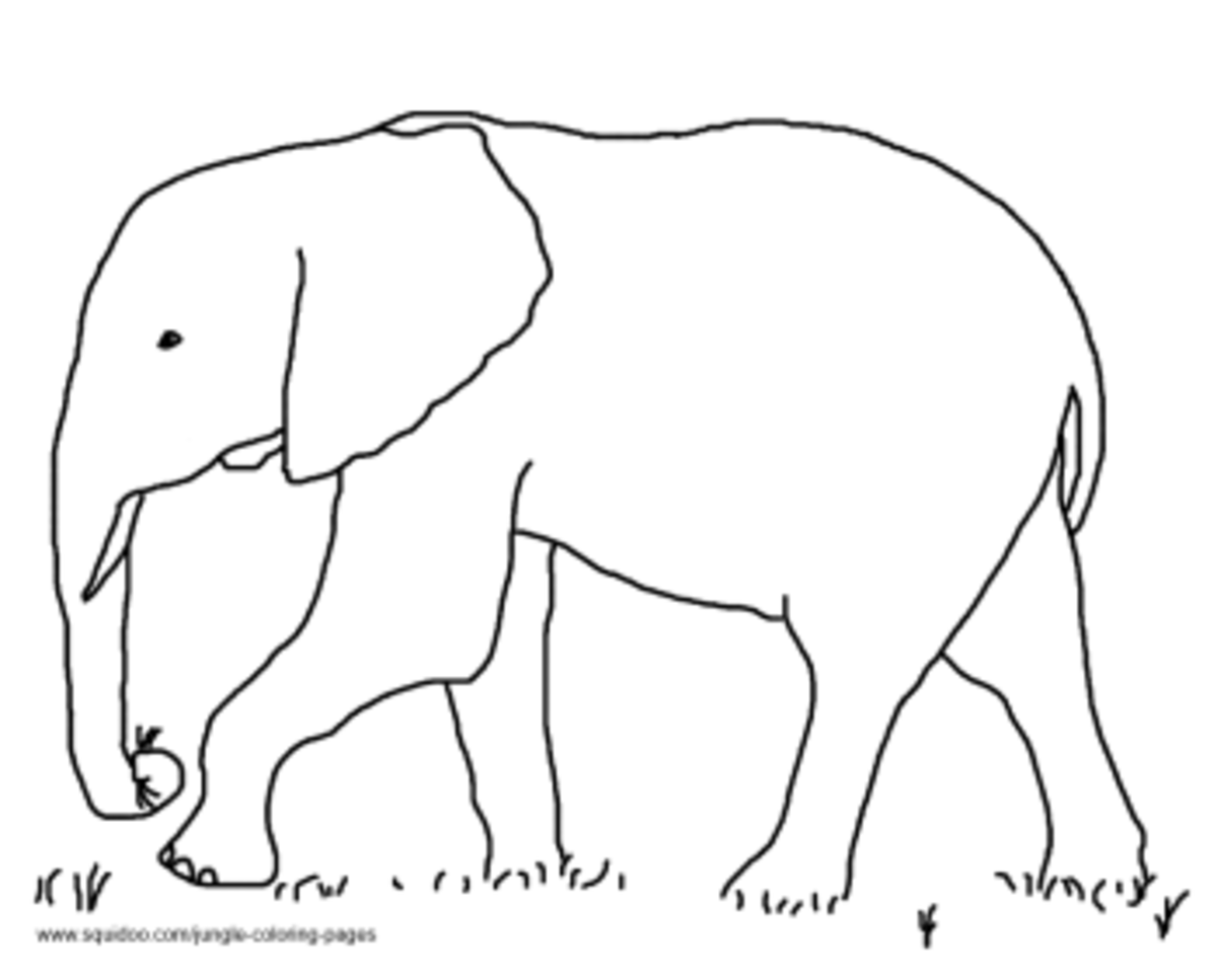 Jungle coloring pages